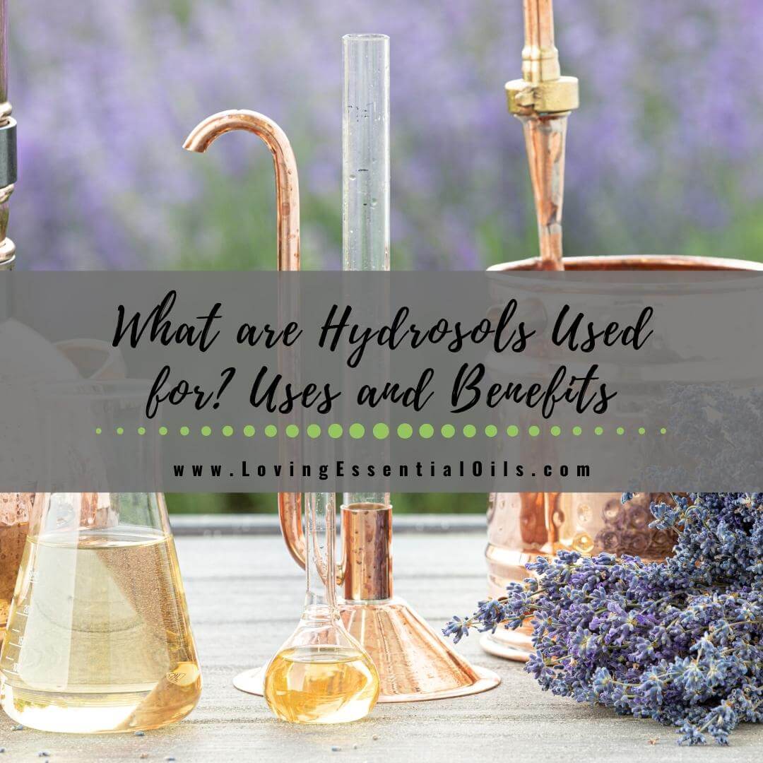 What are Hydrosols Used for? AKA Essential Oil Flower Water by Loving Essential Oils