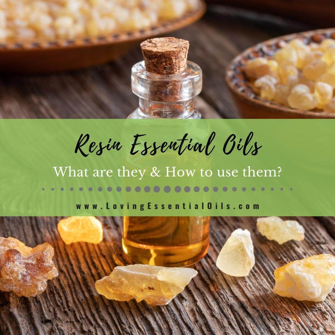 What are Resin Essential Oils? and How to Use Them by Loving Essential Oils