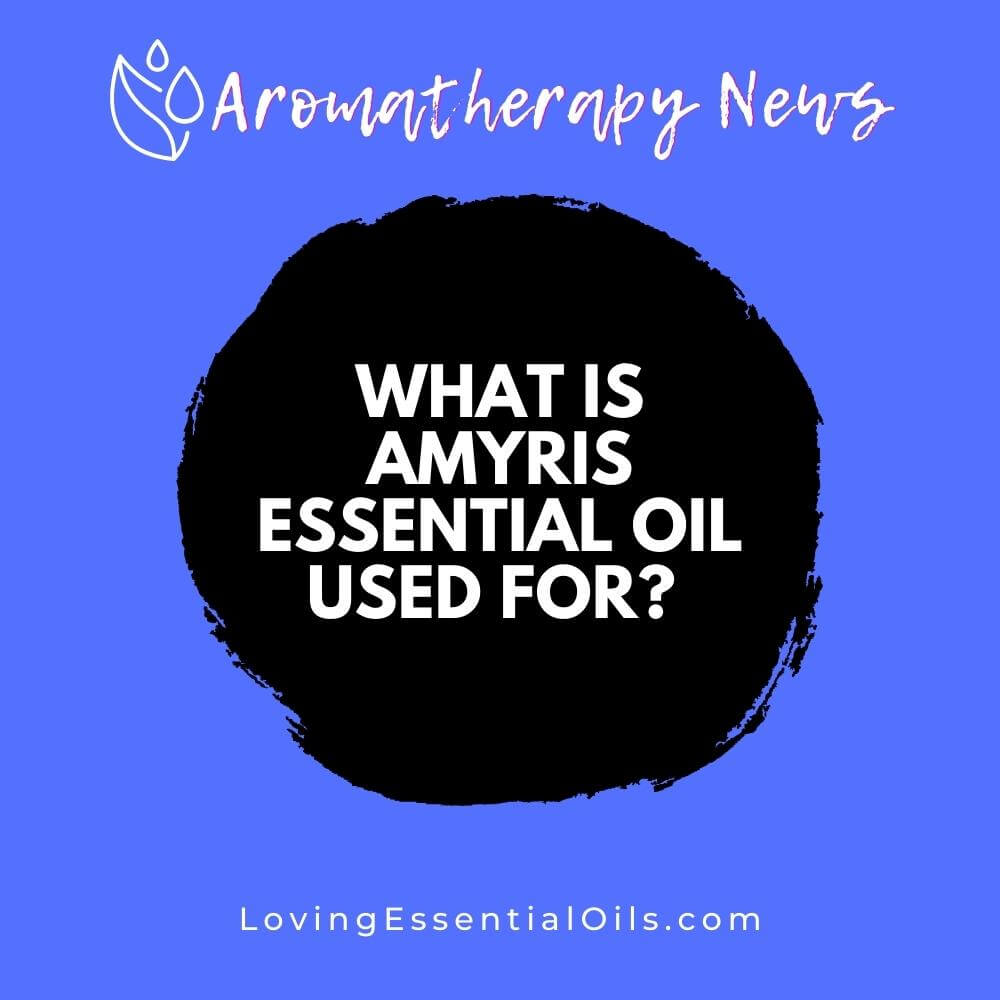 What is Amyris Essential Oil Used For? Benefits, Uses, Substitute Oils by Loving Essential Oils