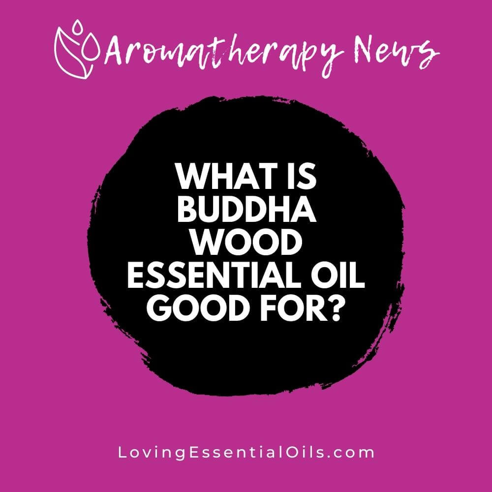 What is Buddha Wood Essential Oil Good For? by Loving Essential Oils