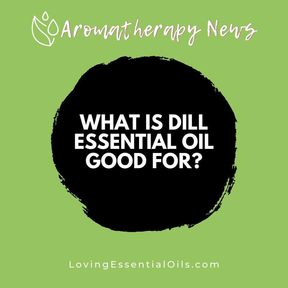 What is Dill Essential Oil Good For? by Loving Essential Oils