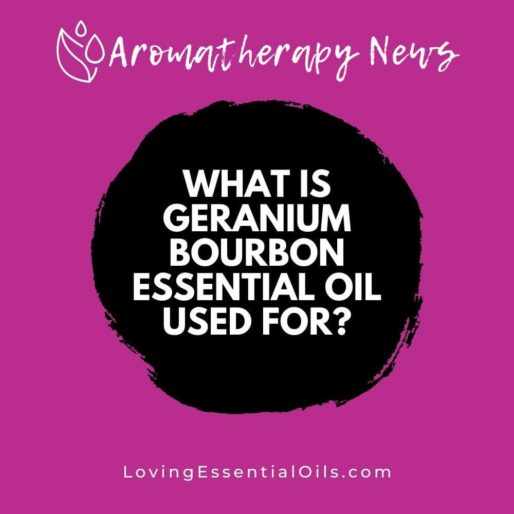 What is Geranium Bourbon Essential Oil Used For? by Loving Essential Oils