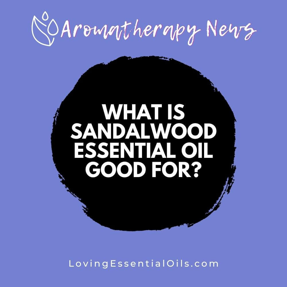 What is Sandalwood Essential Oil Good For? by Loving Essential Oils