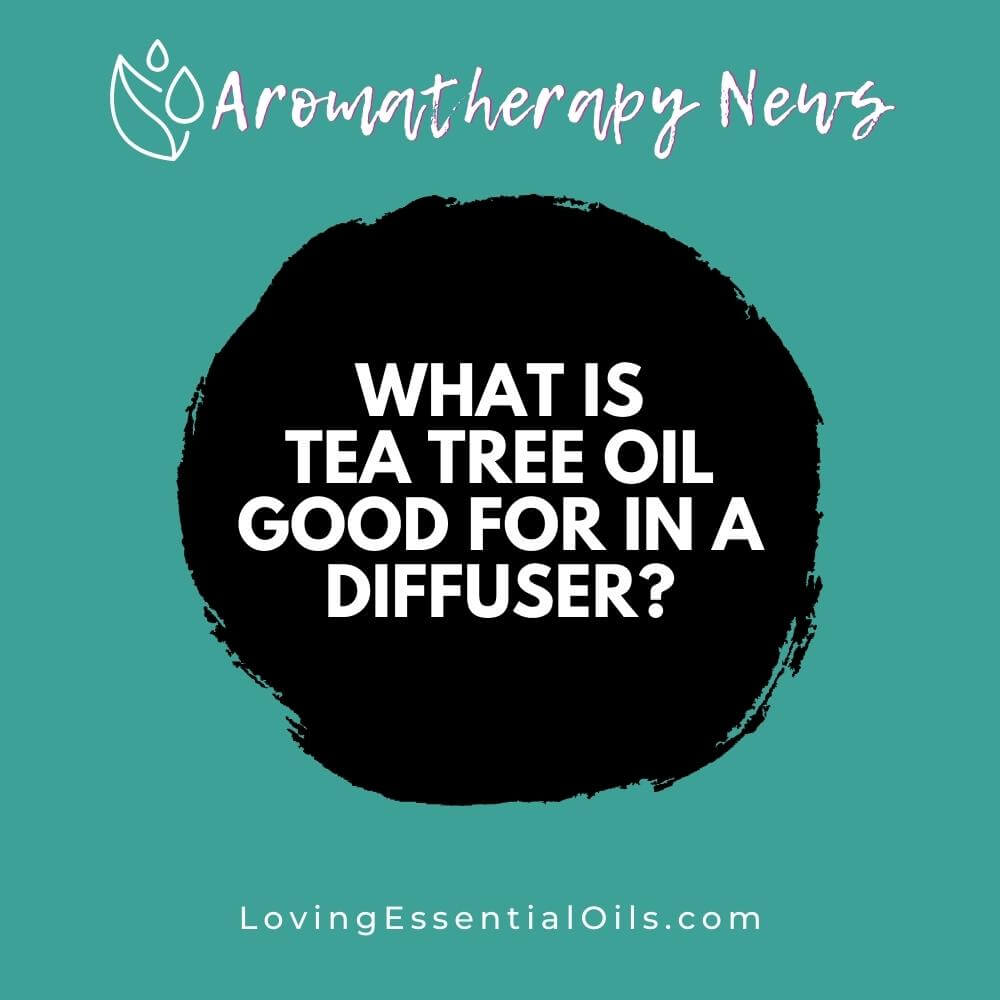 What is Tea Tree Essential Oil Good for in a Diffuser? by Loving Essential Oils