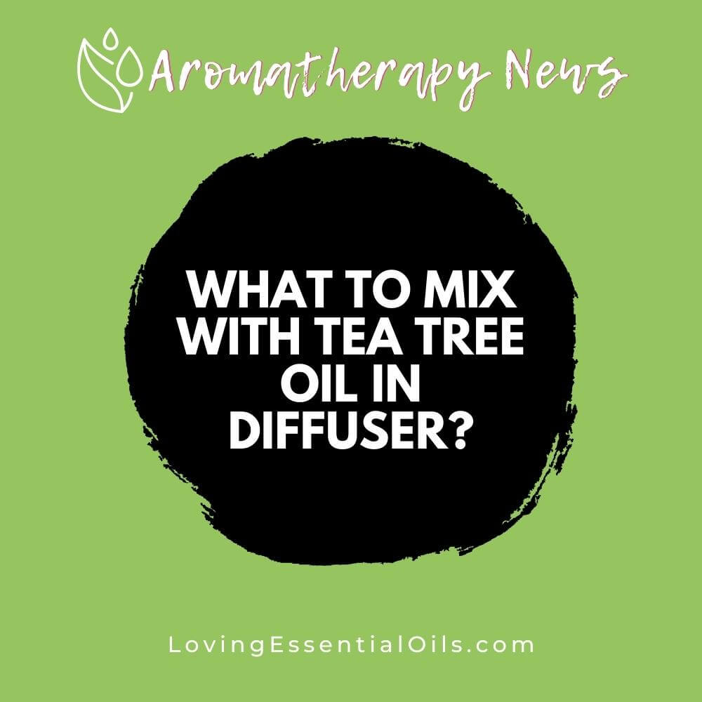 What to Mix With Tea Tree Oil in Diffuser? by Loving Essential Oils