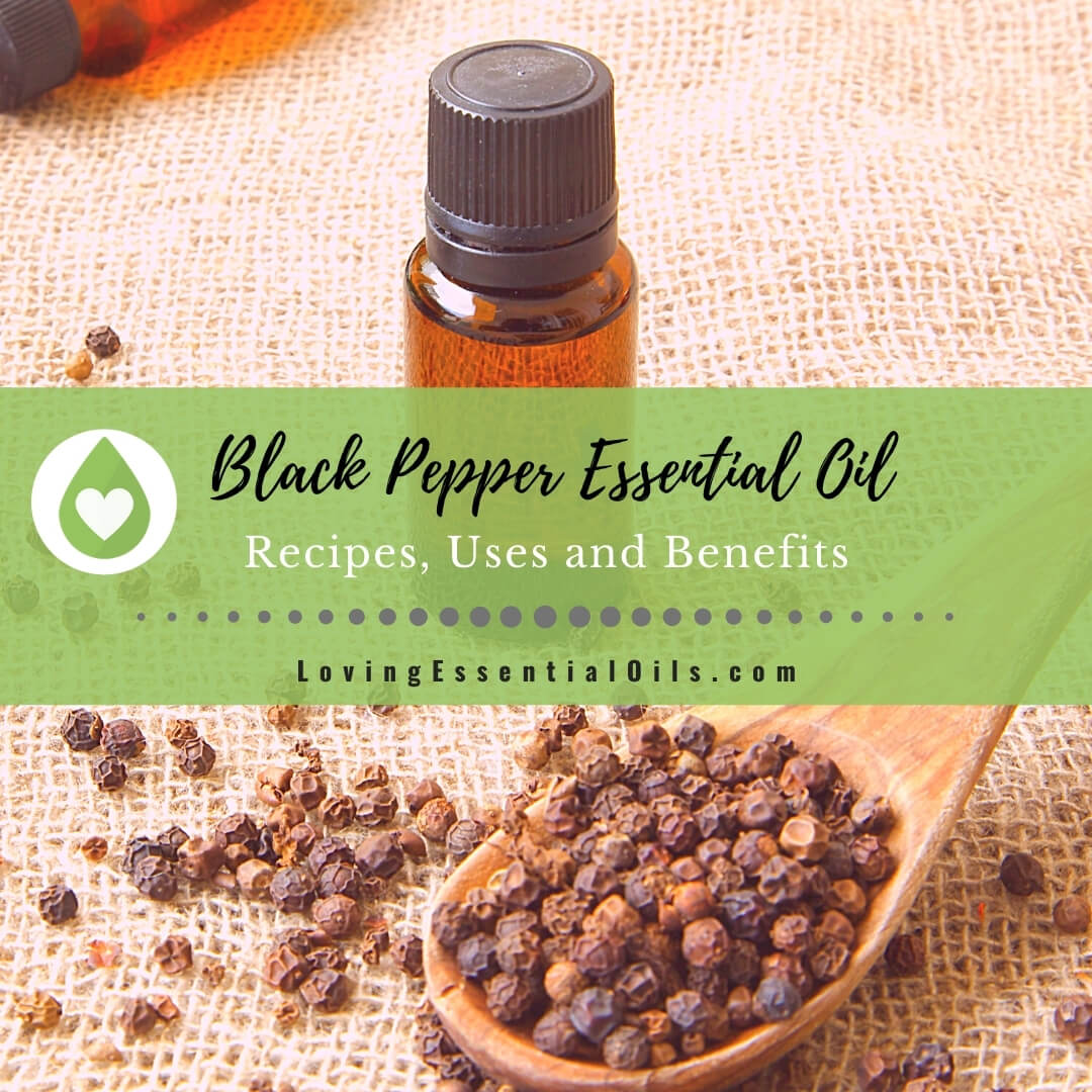 Black Pepper Essential Oil Recipes, Uses and Benefits Spotlight by Loving Essential Oils