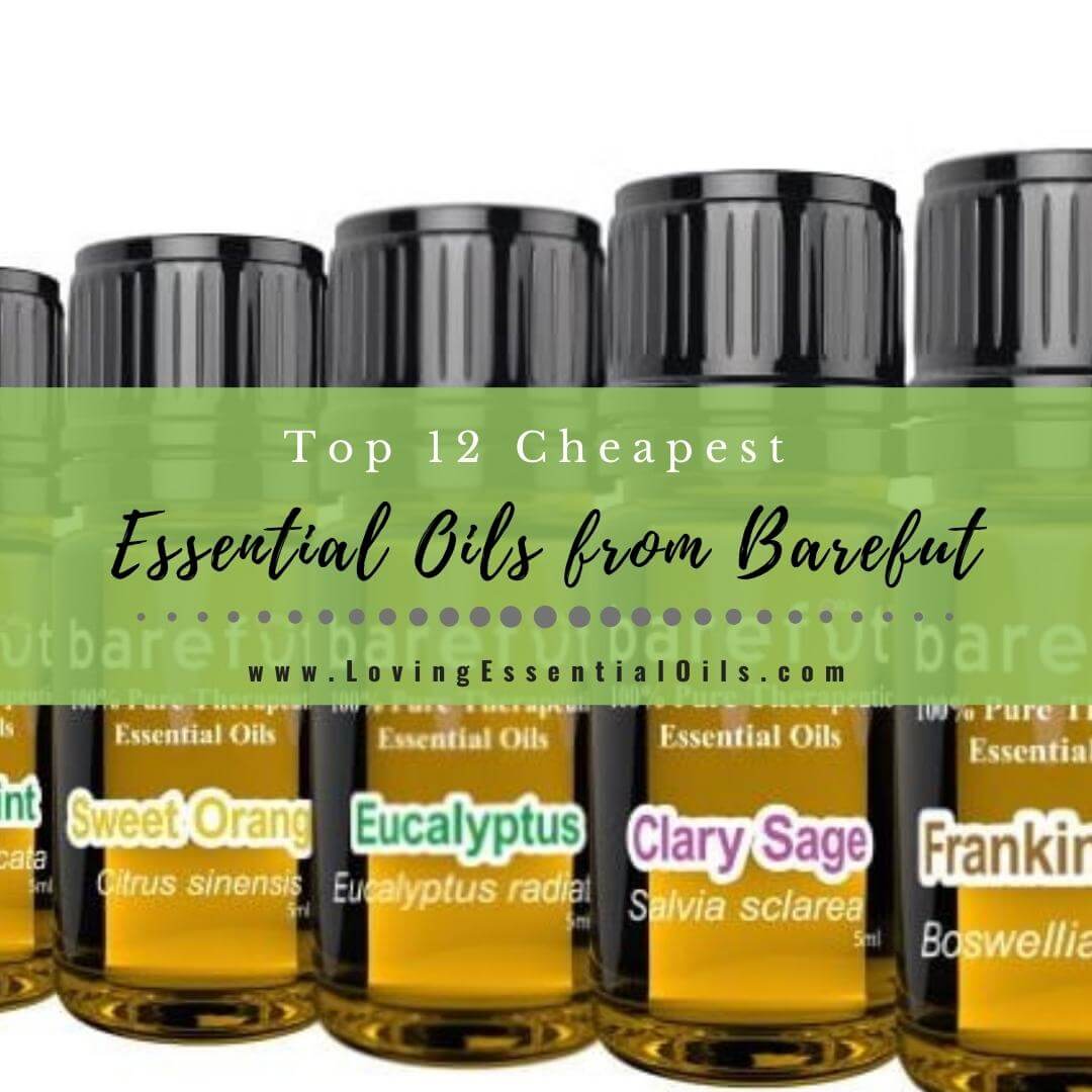Top 12 Cheapest Essential Oils from Barefut - Brand Review Guide