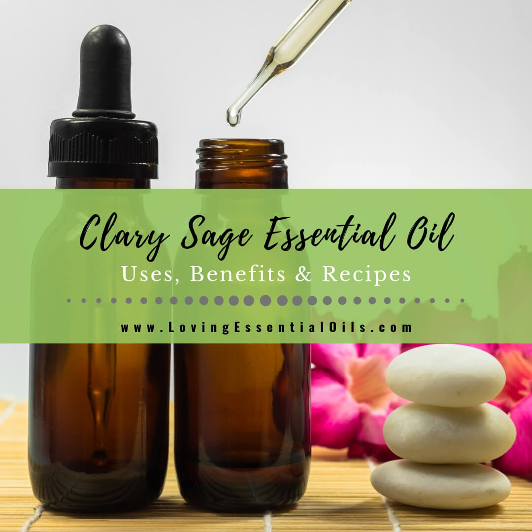 Clary Sage Essential Oil Uses, Benefits and Recipes Spotlight by Loving Essential Oils
