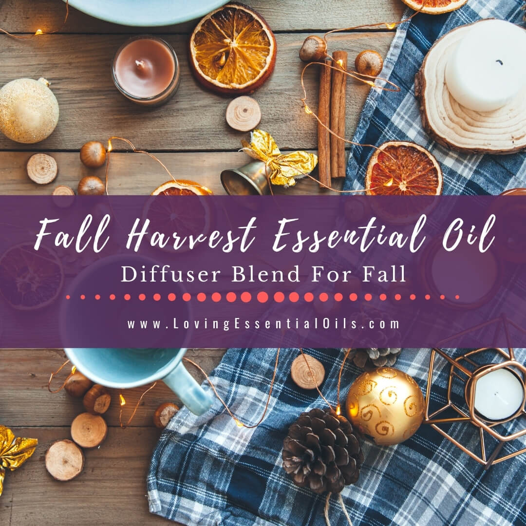 Fall Harvest Essential Oil Diffuser Blend Recipe by Loving Essential Oils