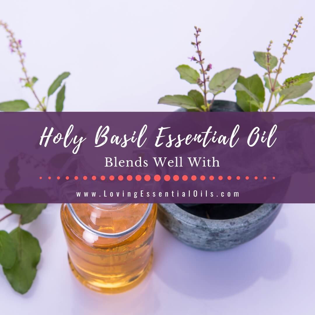 Holy Basil Essential Oil Blends Well With - Tulsi Diffuser Blends by Loving Essential Oils