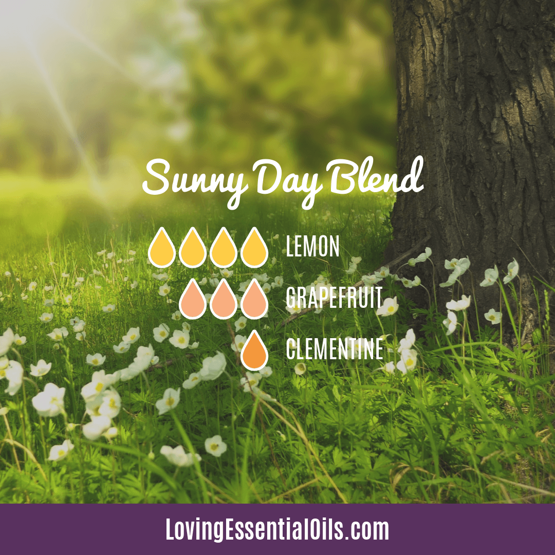 Sunny Day Essential Oil Blend Recipe and Benefits by Loving Essential Oils