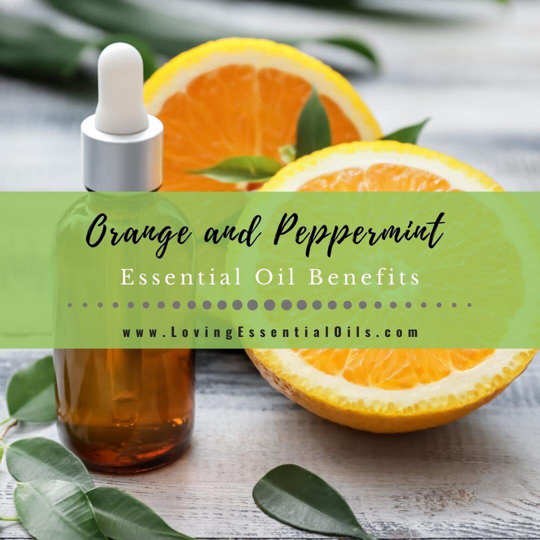 Orange and Peppermint Essential Oil Benefits and Blends by Loving Essential Oils
