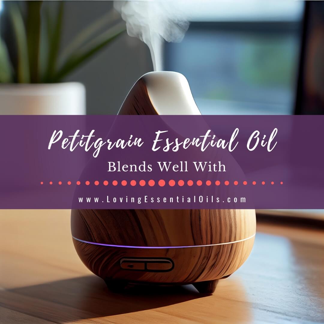 Petitgrain Essential Oil Blends Well With Plus Diffuser Blends by Loving Essential Oils