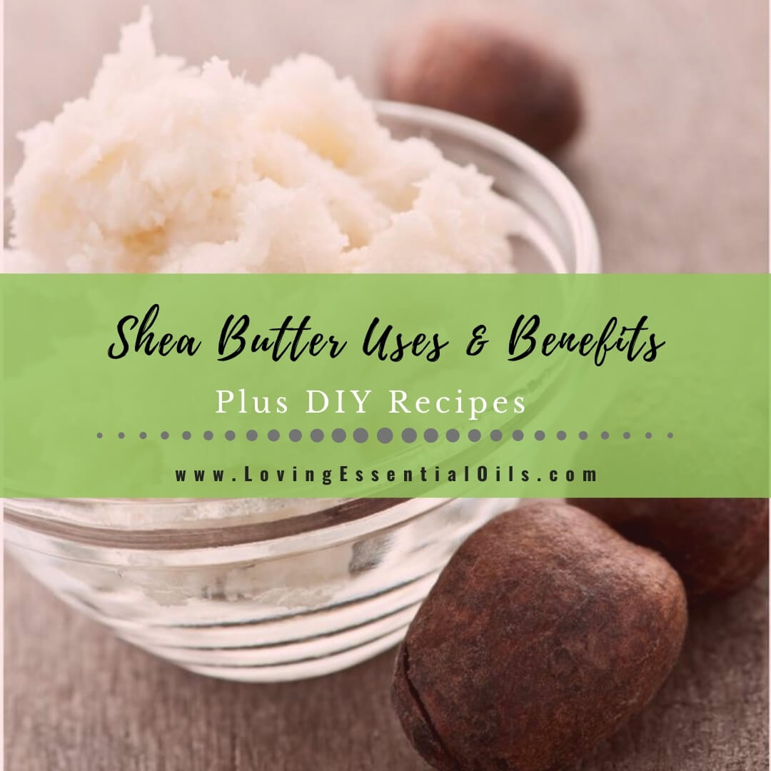 10 Shea Butter Uses with DIY Essential Oil Recipes For Beauty by Loving Essential Oils