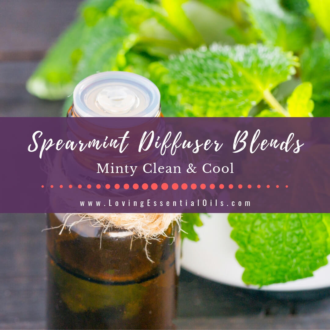 Spearmint Diffuser Blends - Minty Clean and Cool by Loving Essential Oils