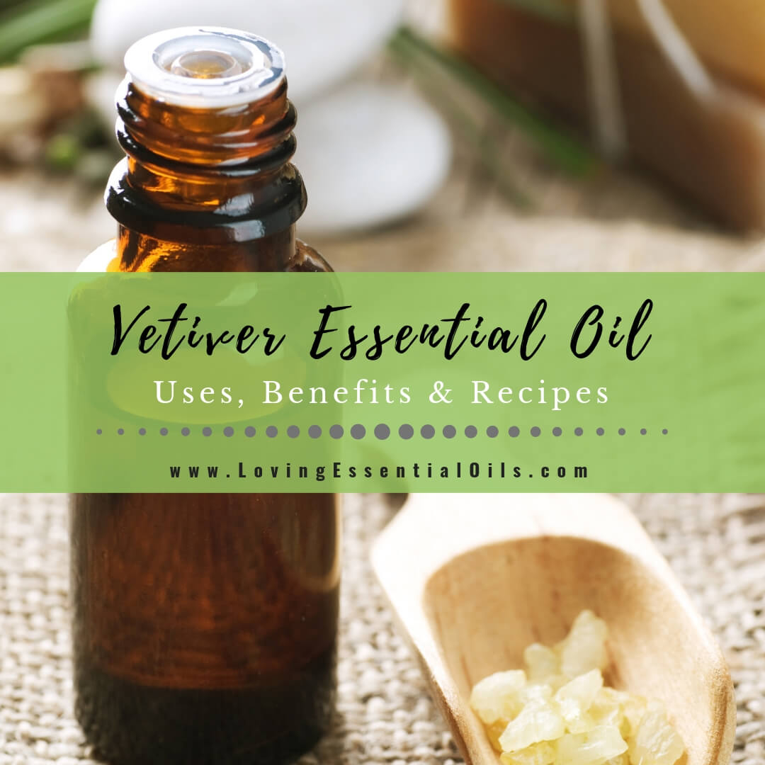 Vetiver Essential Oil Uses, Benefits & Recipes - EO Spotlight by Loving Essential Oils