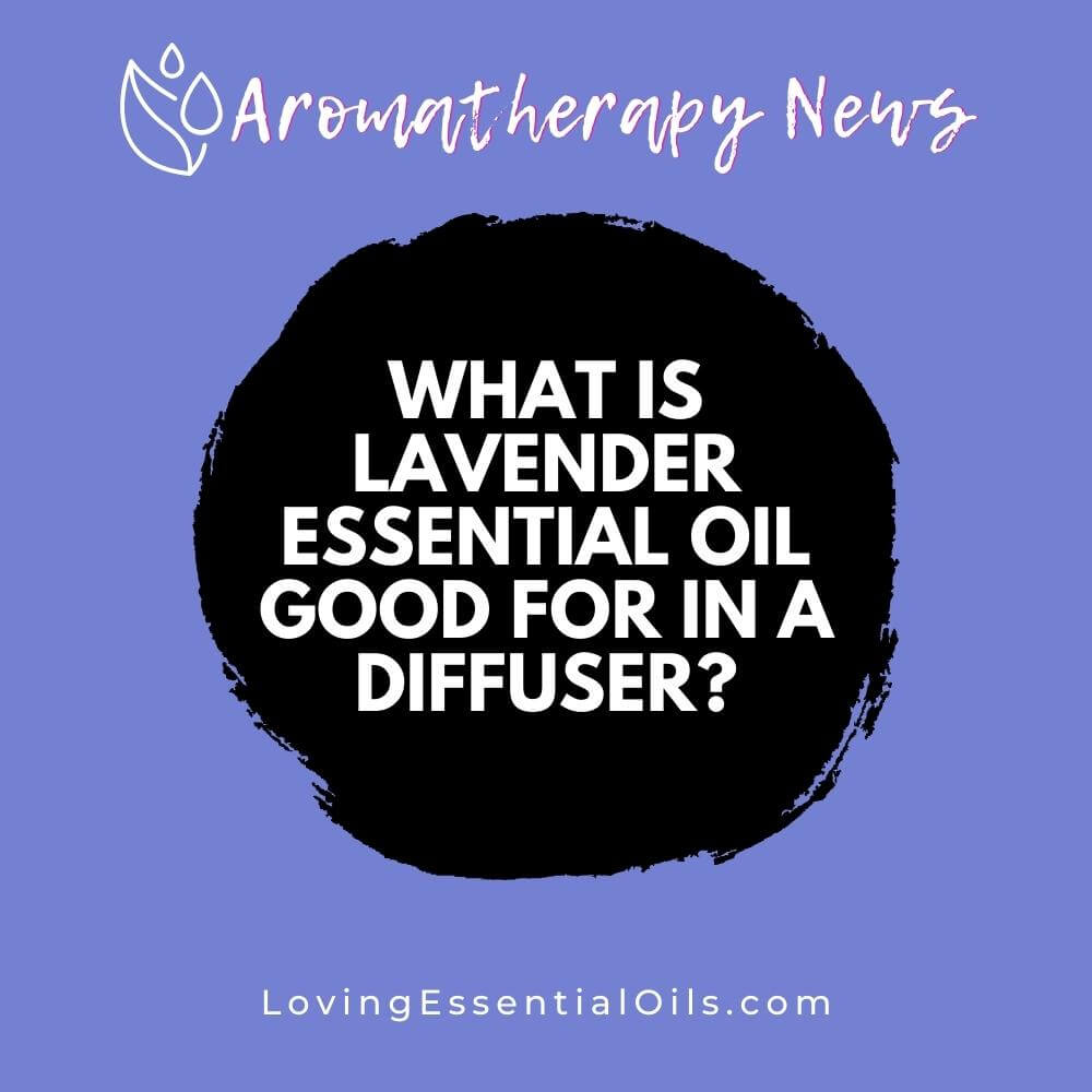 What is Lavender Essential Oil Good for in a Diffuser? by Loving Essential Oils