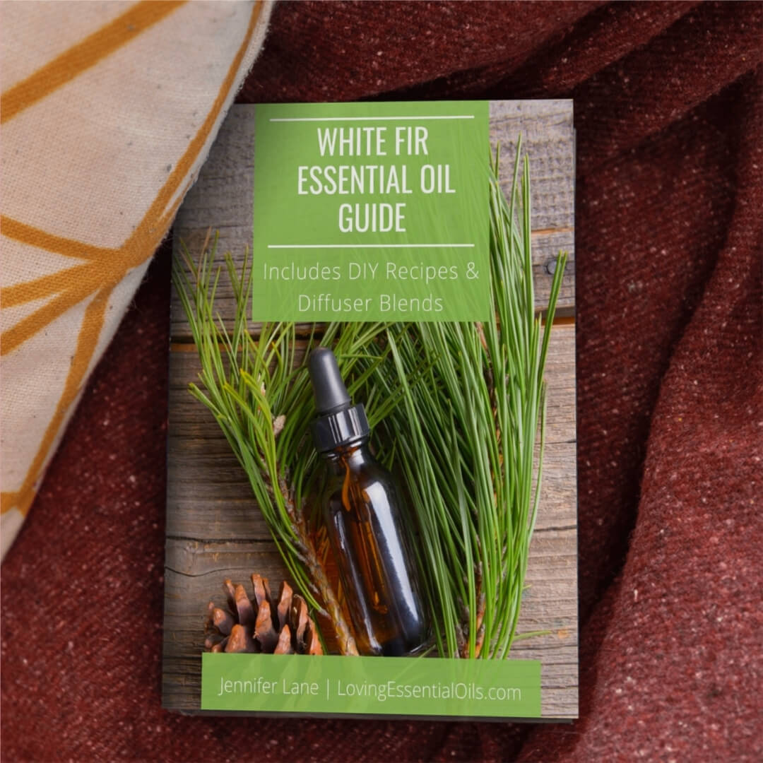 White Fir Essential Oil Guide (aka Fir Needle)